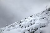 201402131040-AJ001602_3_4.jpg